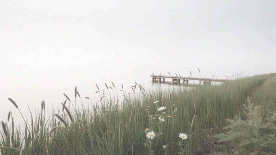 Jakie są przykłady użycia słowa wokół w codziennym języku?