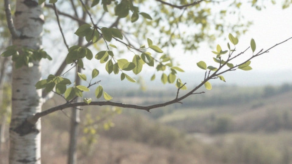 Czy przeciwieństwa się przyciągają? Odkryj dynamiczne relacje