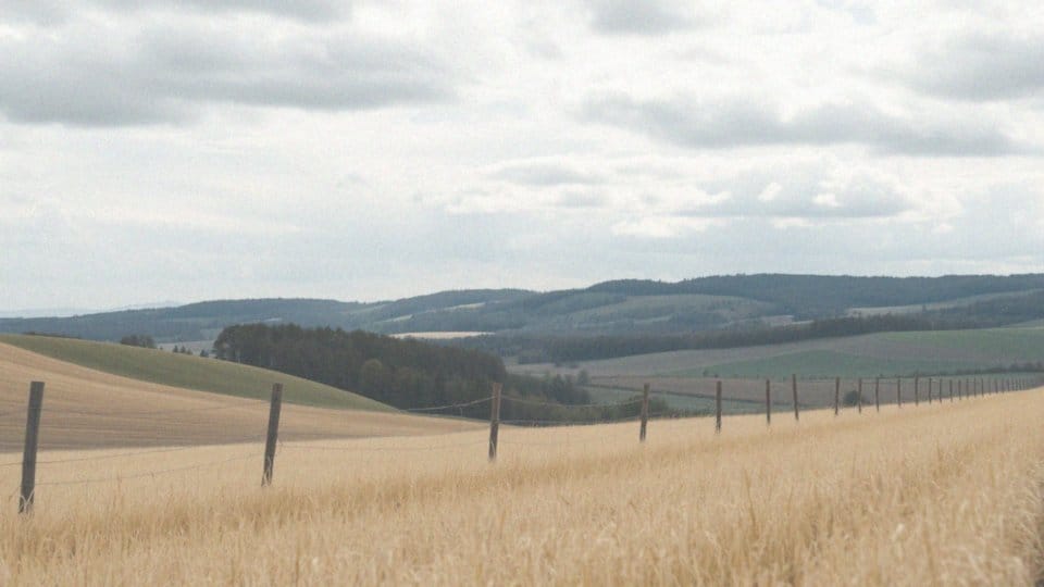 Pogoda Międzyrzecz na 16 dni – szczegółowa prognoza i przewidywania