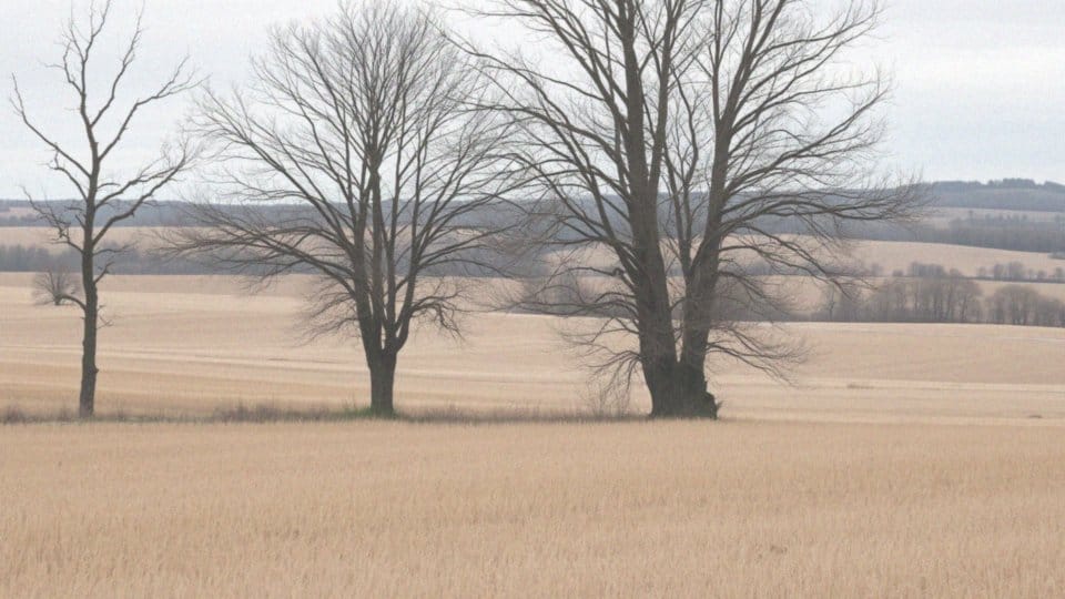 Pogoda na sobotę i niedzielę – prognoza na weekend