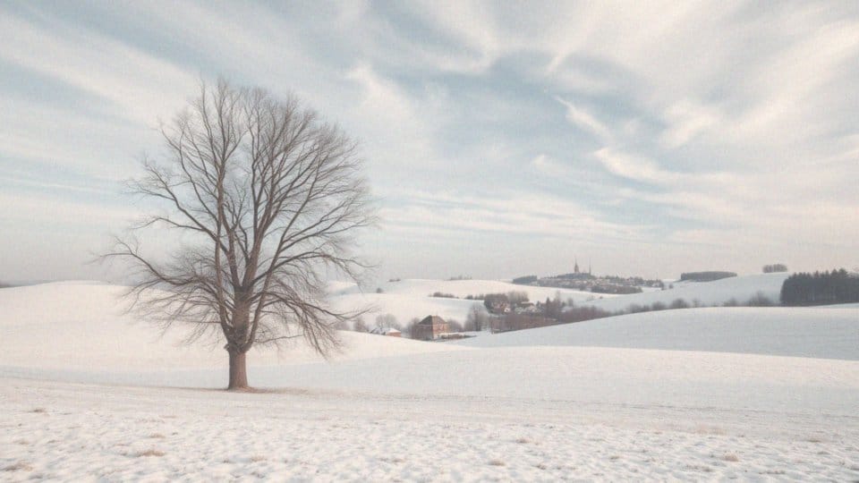 TVN Meteo pogoda 16-dniowa Wasilewskiego – prognozy i zmiany temperatur